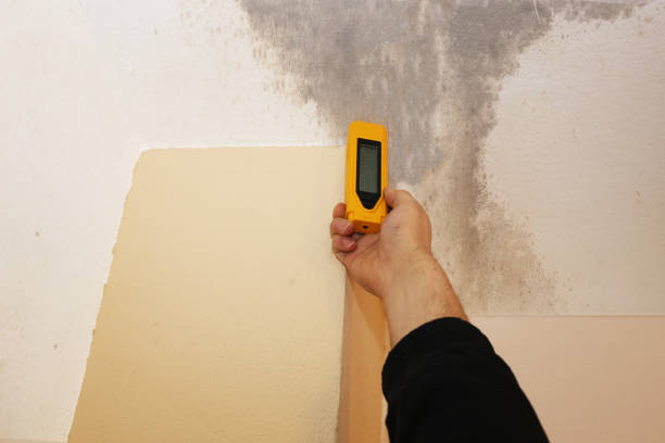 Best Mold Removal for HVAC Installations  in Philipsburg, MT