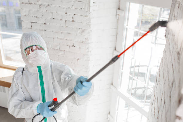 Best Industrial Mold Remediation  in Philipsburg, MT