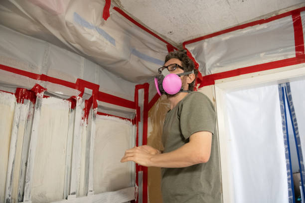 Best Comprehensive Air Testing for Mold Contaminants  in Philipsburg, MT