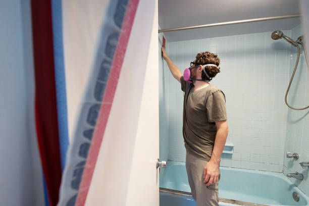 Best Biohazard Mold Removal  in Philipsburg, MT