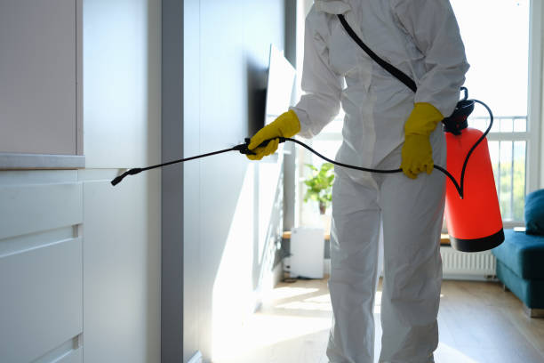 Best HVAC Mold Inspection and Cleaning  in Philipsburg, MT