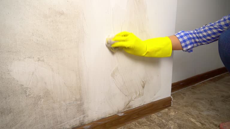 Best Airborne Mold Testing  in Philipsburg, MT